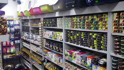 Sklep zoologiczny Pirania